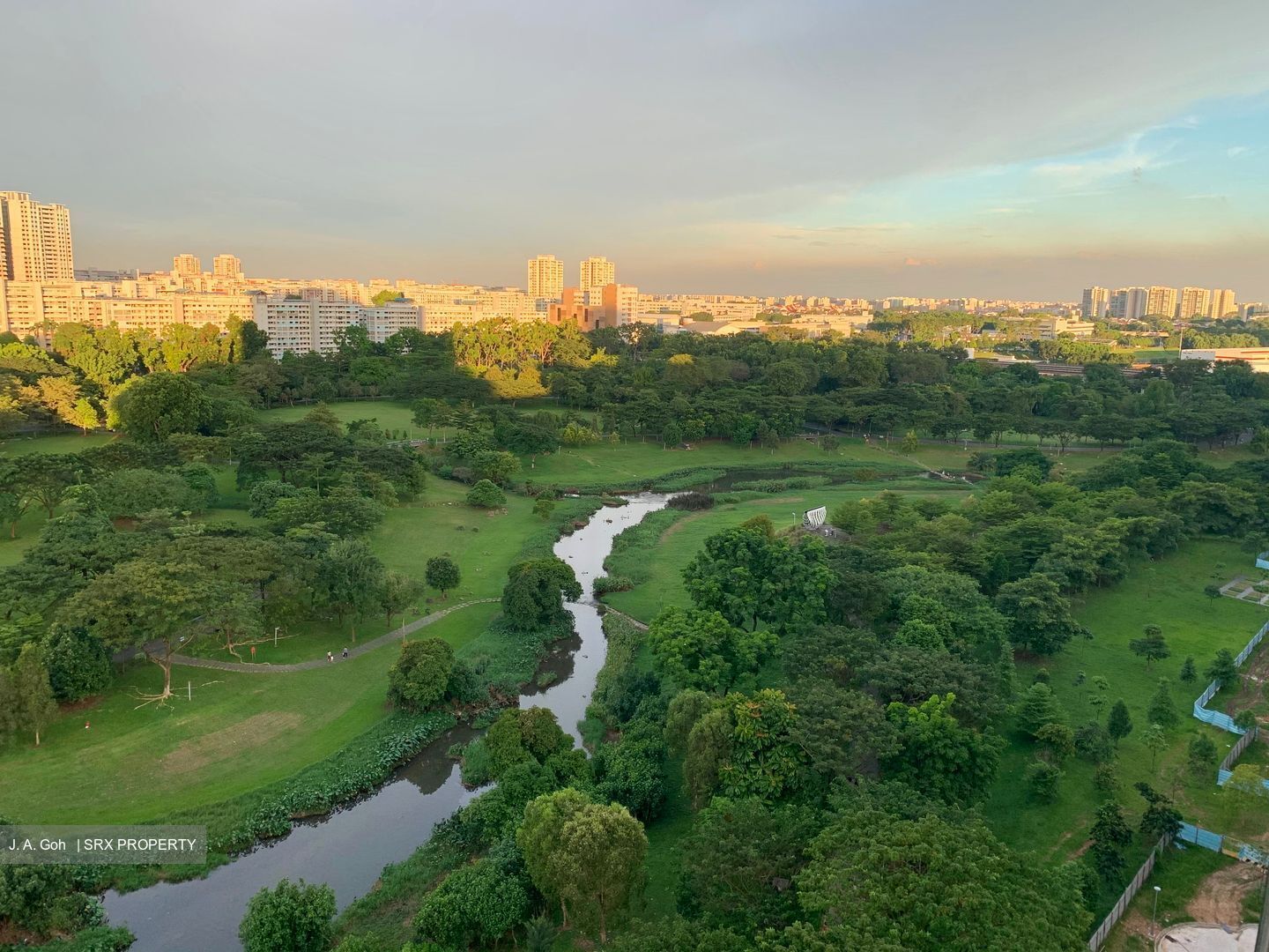 Clover By The Park (D20), Condominium #622687571